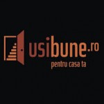 Ce trebuie sa ai in vedere atunci cand achizitionezi o usa exterioara?