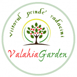 Cum se planteaza pomii fructiferi in mod corespunzator?