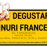 DEGUSTARE VINURI FRANCEZE INEDITA