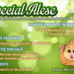 Special Alese – un altfel de magazin online