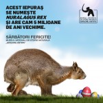 PROGRAMUL SPECIAL DE SĂRBĂTORI AL MUZEULUI NAȚIONAL DE ISTORIE NATURALĂ „GRIGORE ANTIPA”