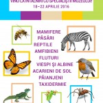 ȘCOALA ALTFEL LA ANTIPA