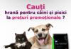 Pet shop online – AnimaLand.ro pet shop