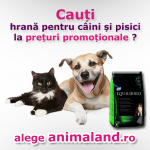 Pet shop online – AnimaLand.ro pet shop