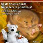 Ssst! Noapte bună! Ne vedem la primăvară! antipa