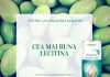 Lecitina VITAQUELL – alimentul „minune” pentru ficat, creier si colesterolul crescut dupa Sarbatori Lecitina