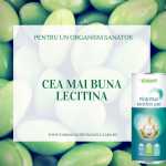 Lecitina VITAQUELL – alimentul „minune” pentru ficat, creier si colesterolul crescut dupa Sarbatori Lecitina