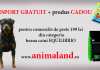 CADOU + Transport gratuit pentru orice comanda de hrana caini Equilibrio hrana caini