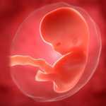 Sarcina dupa varsta de 30 ani Sarcina dupa varsta de 30 ani