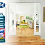 Ca sa nu faci curat cand revii din vacanta asevi