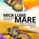 Muzeul Național de Istorie Naturală „Grigore Antipa” și „LaPrintărie” vă invită la Expoziția de fotografie macro & close-up „Mica lume mare” – ediţia a IV-a Antipa