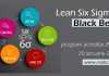Curs Lean Six Sigma Black Belt Lean Six Sigma Black Belt