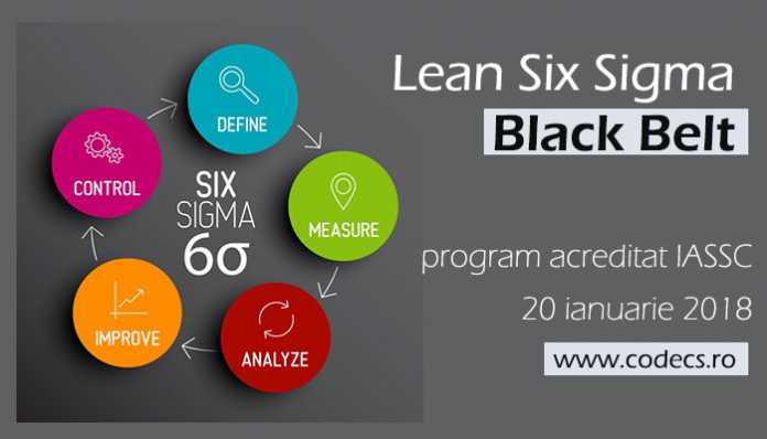 Lean Six Sigma Black Belt