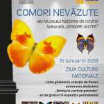 COMORI NEVĂZUTE ale Muzeului Național de Istorie Naturală „Grigore Antipa” Antipa