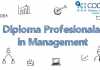 Alege calea spre un management de succes | Diploma Profesionala in Management management de succes
