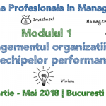 Managementul Organizatiilor si al Echipelor Performante | CODECS Managementul Organizatiilor