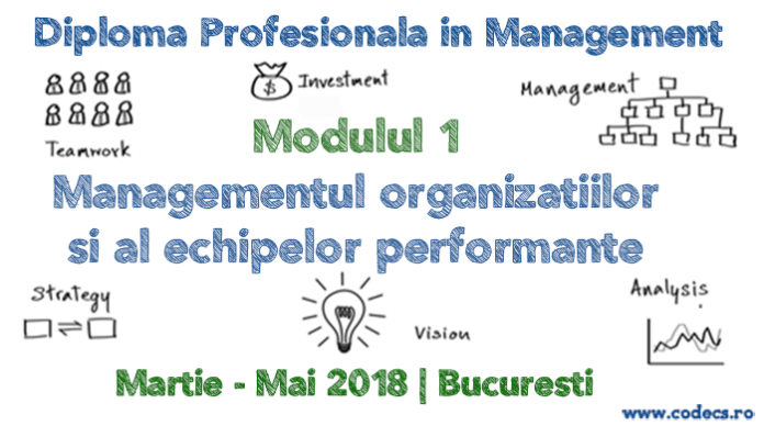 Managementul Organizatiilor