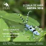 Specii ocrotite din fauna României Specii ocrotite din fauna României