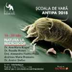 NATURA LA MICROSCOP NATURA LA MICROSCOP