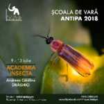 Academia Insecta la Muzeul Naţional de Istorie Naturală „Grigore Antipa” antipa