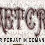 Porti fier forjat Darmanesti de calitate europeana doar la Metcry Porti fier forjat