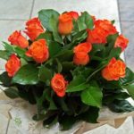 Apeleaza la ajutorul unui florist pentru a darui cele mai frumoase buchete de trandafiri! buchete de trandafiri