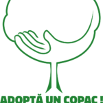 21.000 de puieți plantați toamna aceasta de ViitorPlus, prin proiectul “Adoptă un copac!” adopta un copac