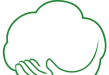 21.000 de puieți plantați toamna aceasta de ViitorPlus, prin proiectul “Adoptă un copac!” adopta un copac