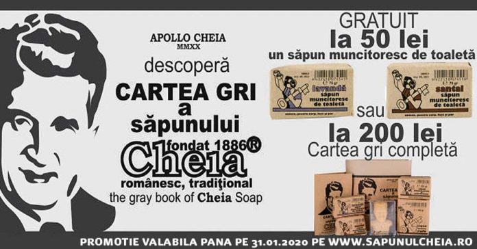 cartea gri a sapunului cheia