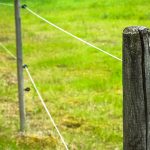 Din ce este compus un gard electric?