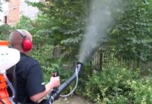 Ce este un atomizor si la ce il poti folosi?