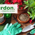 Automatizarea data de sistemele Senior Software a ajutat distribuitorul Verdon sa obtina o cifra de afaceri de 4 ori mai mare